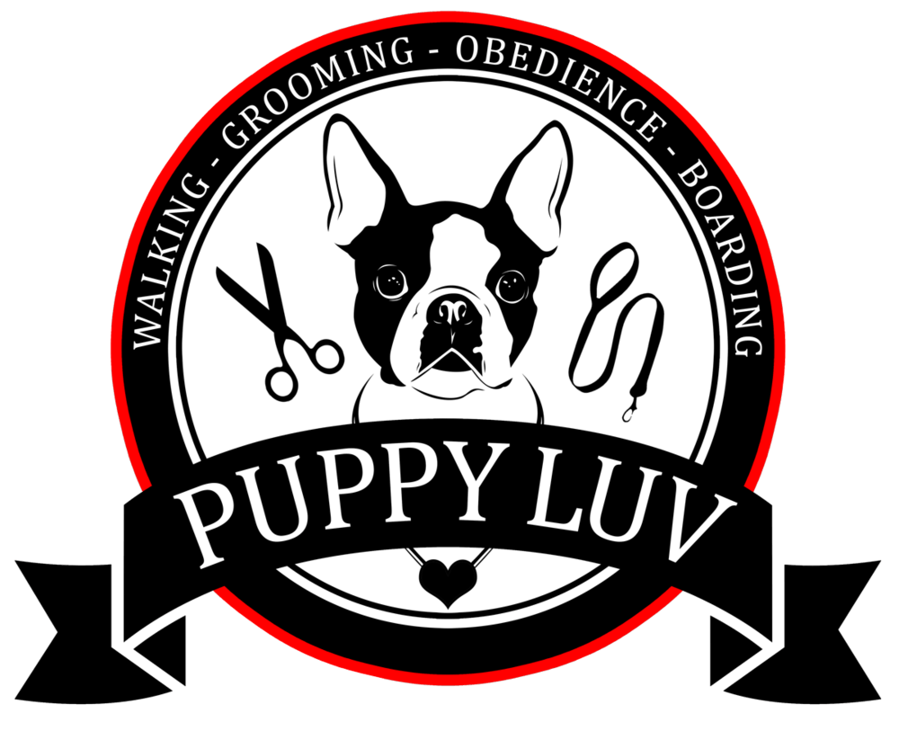 Puppy luv hot sale dog boutique